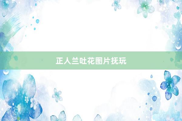 正人兰吐花图片抚玩